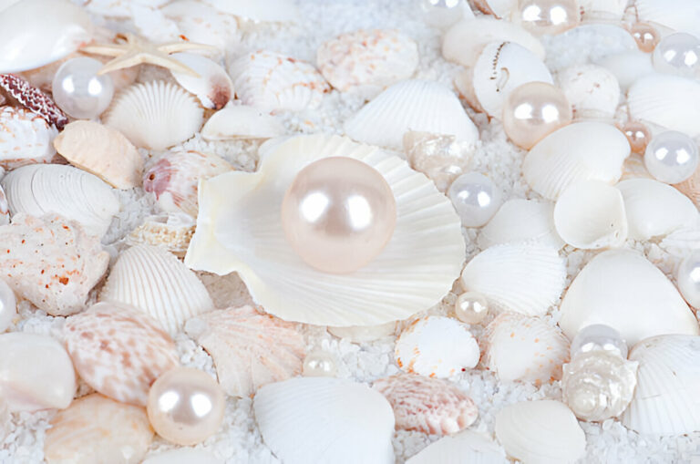 round a large pearl in the shell and sand