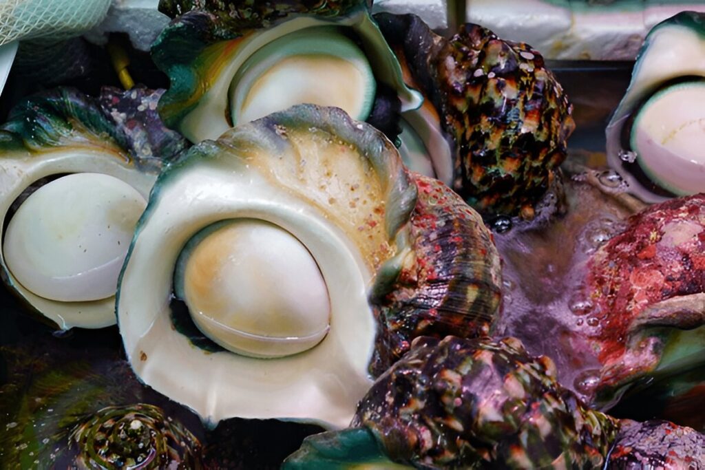 Mother of Pearl and Pearls