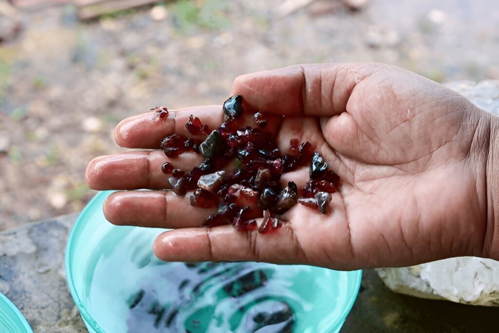 Blood-red raw gemstones from Sri Lanka mine, handful close up